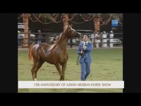 Ajman 2017 - Class 9b