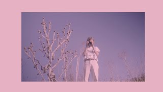 Dolphin Love – “areyougoingtobehere”