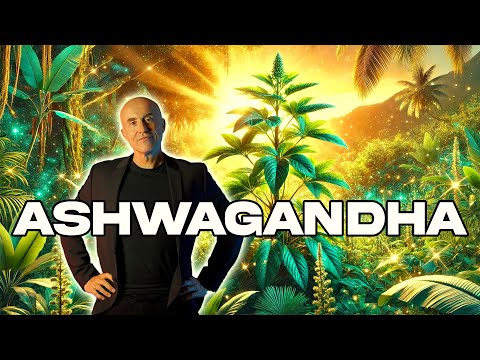 Ashwagandha: una guida completa sul suo utilizzo come adattogeno