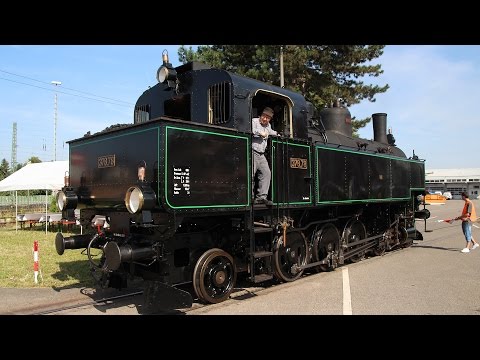 Sichtungen in Haltingen* und Weil am Rhein [Full ᴴᴰ]