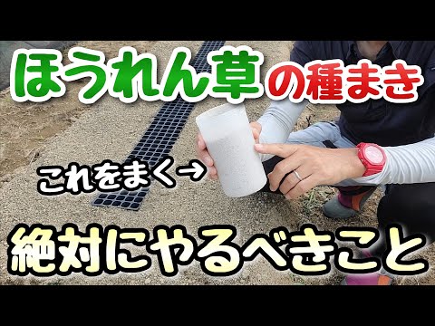 3月に庭で何をするか 適切な市販の粒状肥料を使用してください