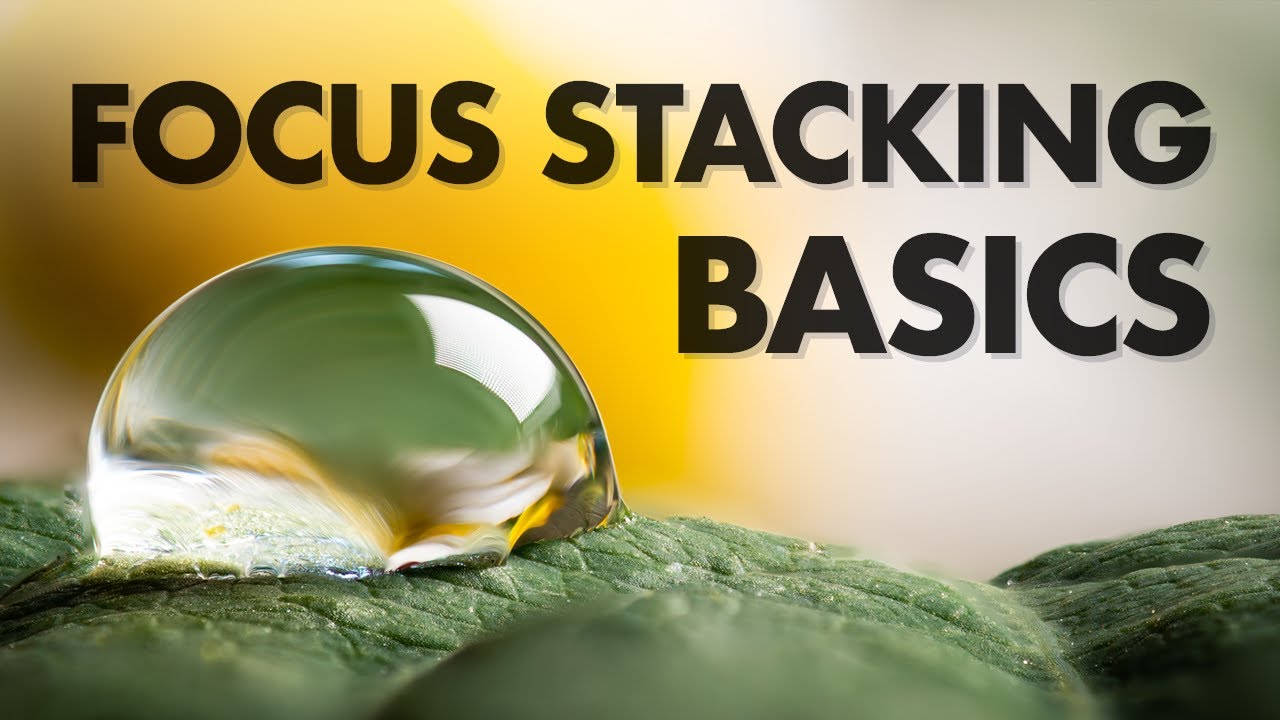Challenges in macro photography focus stacking