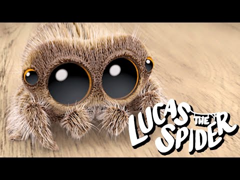 Lucas the Spider Has a SPECIAL MISSION + More Cartoons for Kids