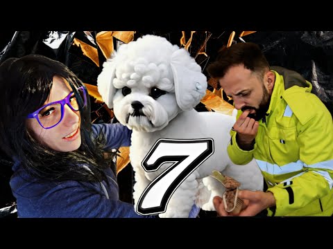 The Story of the Lost Puppy 7