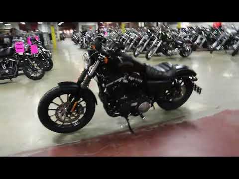 2015 Harley-Davidson Iron 883™ in New London, Connecticut - Video 1