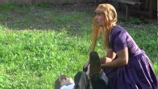 JANE EYRE AND SHE KNOWS IT