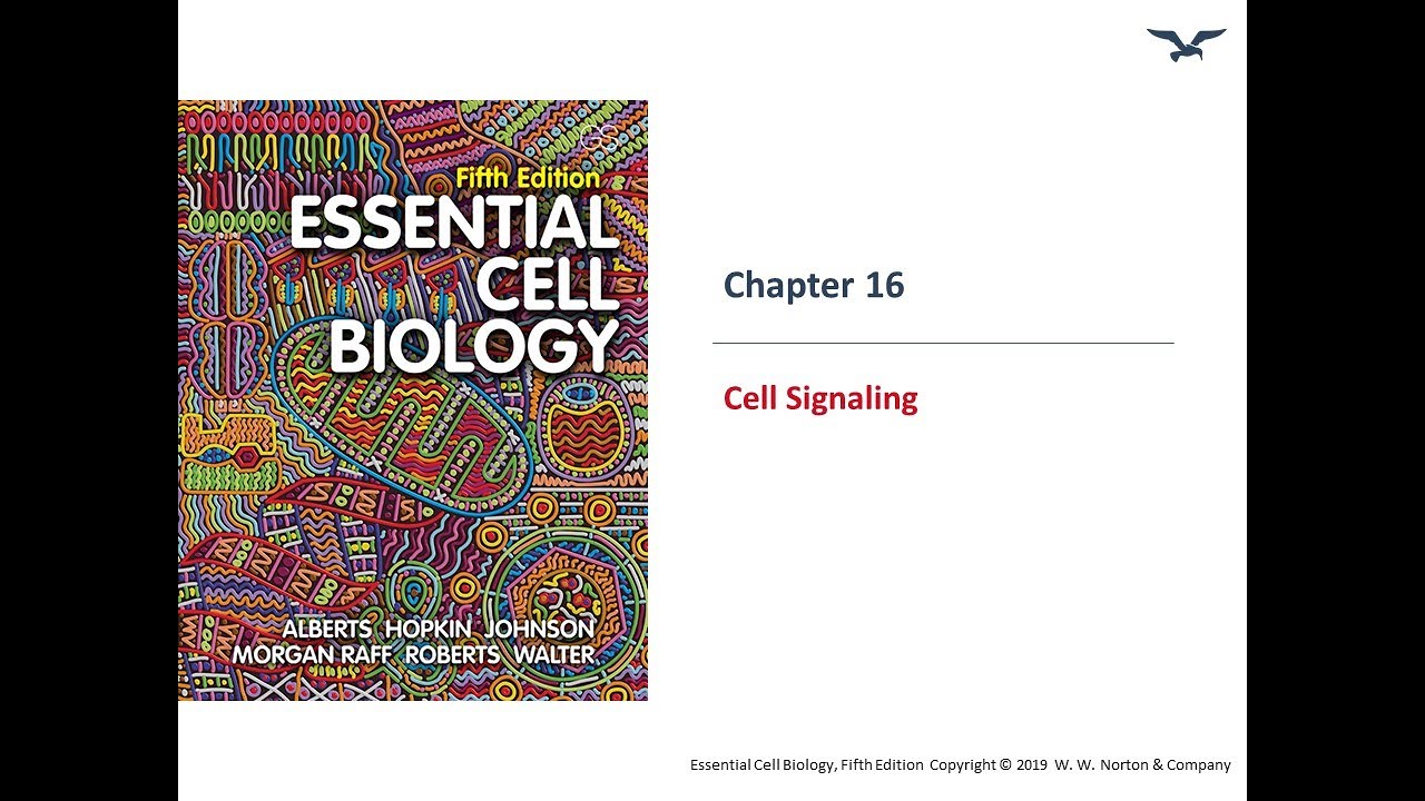 Cell Signaling Basics