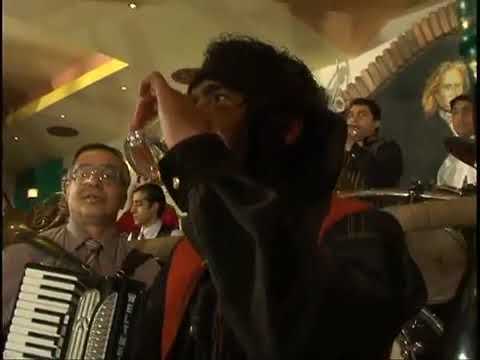 ISMET LISICATA KURKI BIAVESTE