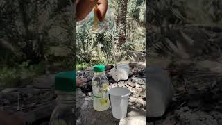 Download lagu Rum Sange Soda #shorts#ytshort#trandingshorts#arhomevloge mp3 Download lagu Rum Sange Soda #shorts#ytshort#trandingshorts#arhomevloge mp3