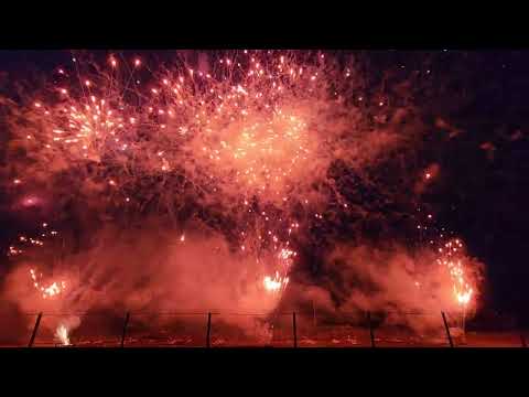 Raccoon Proline Demo at Cobra-Con 2023