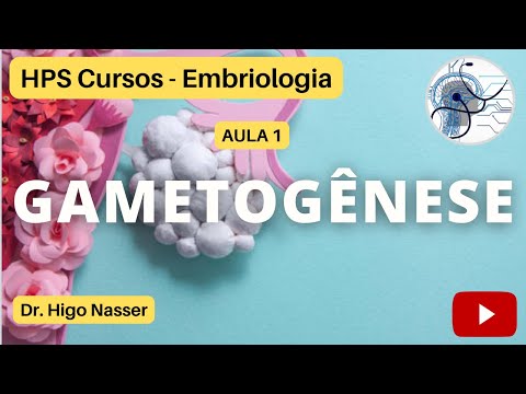 AULA 1 - Gametogênese: Oogênese e Espermatogênese #medicina #enem #educação #saúde #prenatal