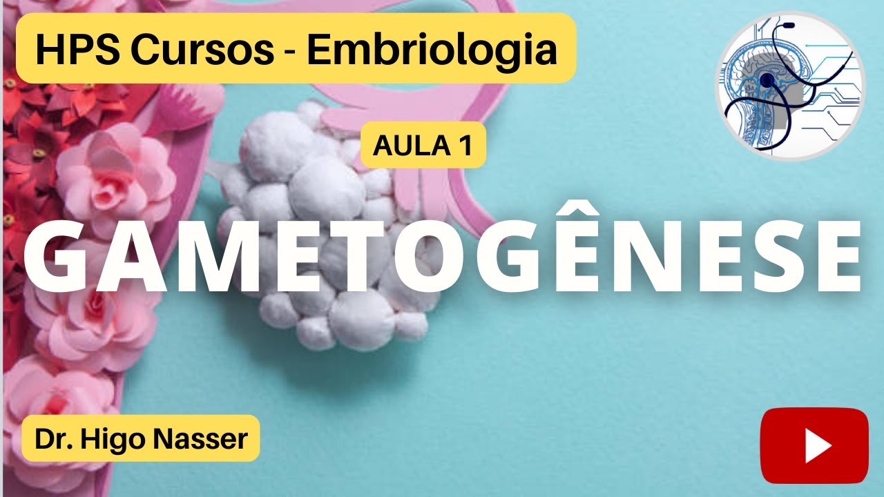 AULA 1 - Gametogênese: Oogênese e Espermatogênese #medicina #enem #educação #saúde #prenatal