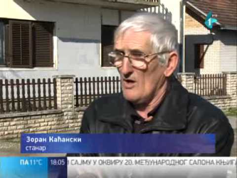 Problemi sa kanalizacijom u Futogu