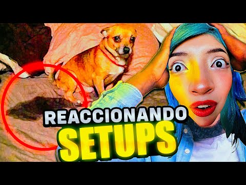 REACCIONANDO A SUS CUARTOS