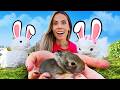 WE FOUND BABY BUNNIES