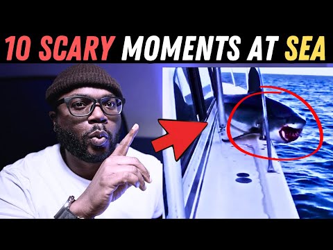 15 Insane moments at sea | The sea can be a SCARY place! | REACTION!!