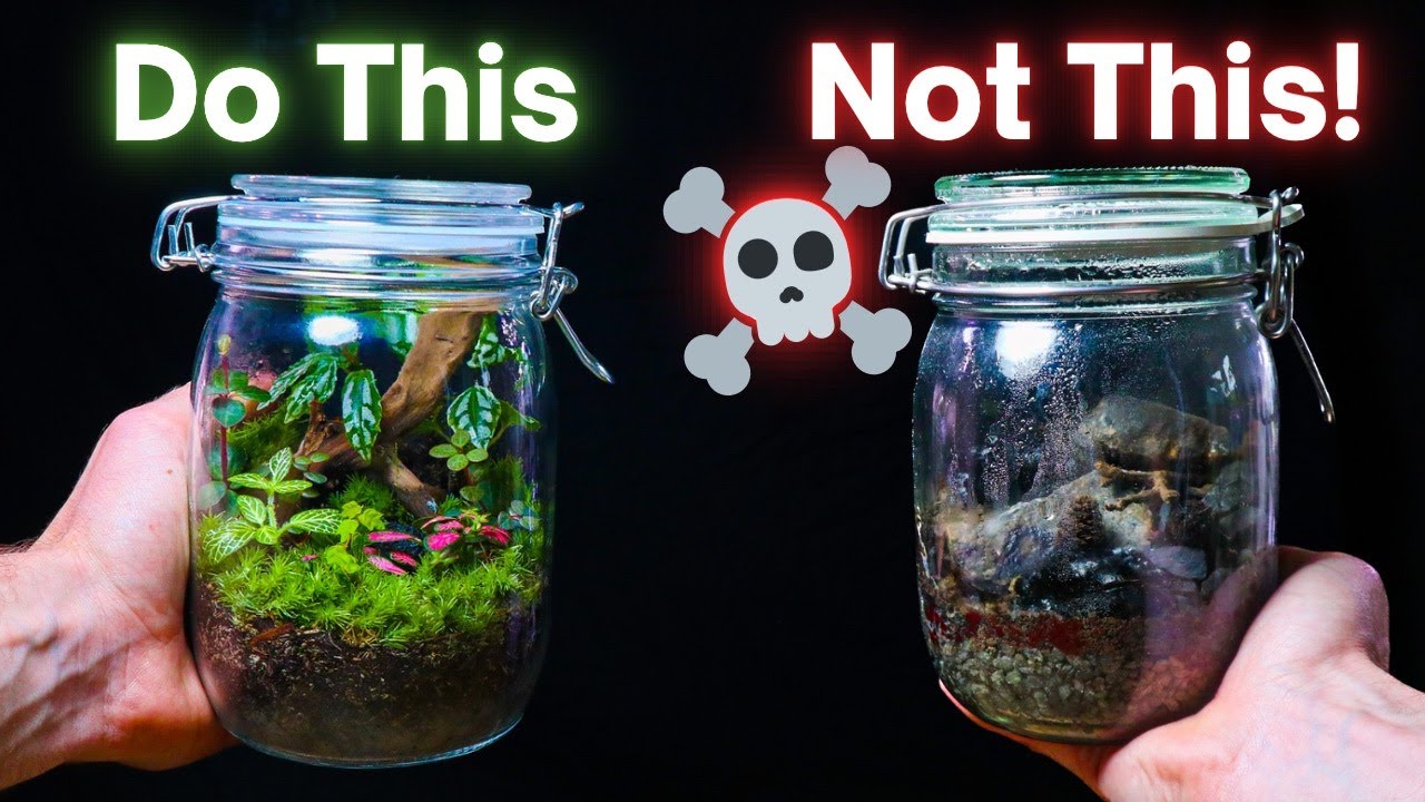 10 ESSENTIAL Terrarium Tips For Beginners!