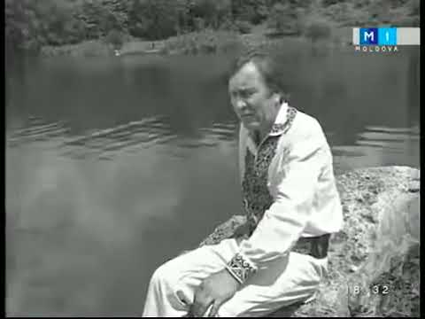 Teodor Negara - Oare ce mai face mama...