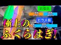 【筋トレ】ふくらはぎの全てをここに置いてきた動画。