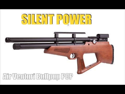 Silence is Golden: Air Venturi Avenger Bullpup .25
