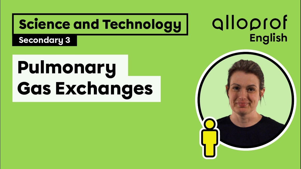 Pulmonary Gas Exchanges