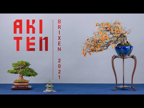 Bonsai Exhibition - AKI TEN 2021, in South Tyrol / Italy