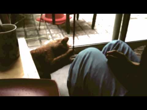 KIKI's Song "Moi j'ai besoin d'amour" LORIE