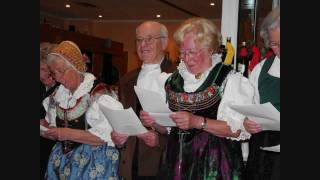 German Birthday Party - Live music - Russian song and Faust waltz