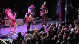 THE BLACK SEEDS "Rotten Apple" - live @ the Gothic (full video)