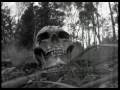 Novembers Doom - Silent Tomorrow (dark edit)