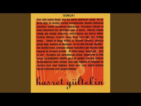 Gönül Çalamazsın