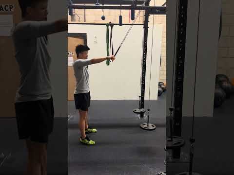 Straight Arm Pull Downs