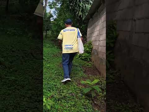 Welcome To Jucuapa El Salvador