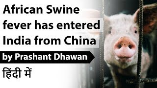 African Swine Fever has entered India from China Current Affairs 2020 #UPSC