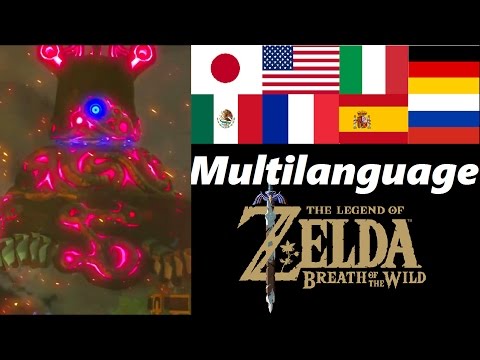 Zelda's Awakening Multilanguage | Memory 17 | Zelda Breath of the Wild