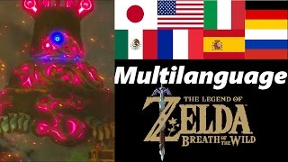 Zelda's Awakening Multilanguage | Memory 17 | Zelda Breath of the Wild