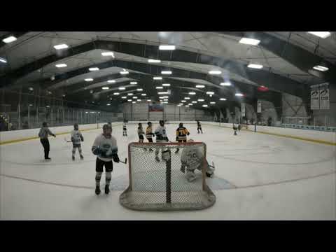 Dominik Accidentally Deflects the Puck into his own Net