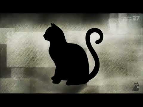 komik videolar /konuşan kediler 37