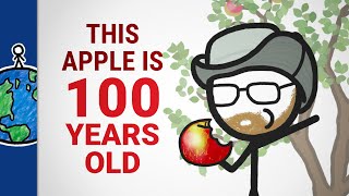 Why It’s HARD To Bring A New Apple To Market