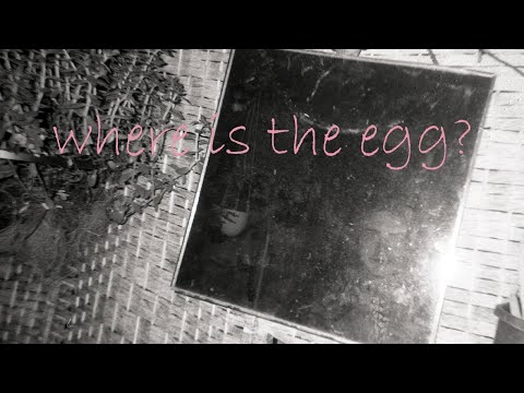 Where is the egg?