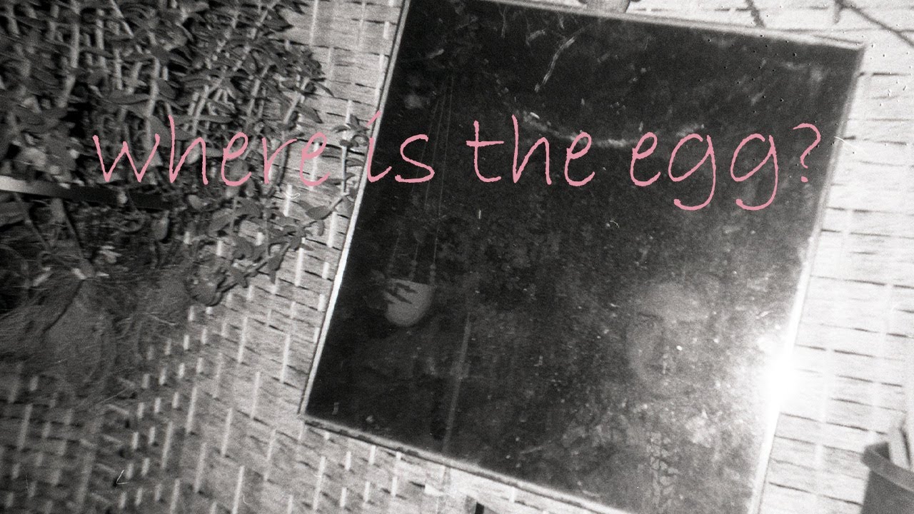 where is the egg?