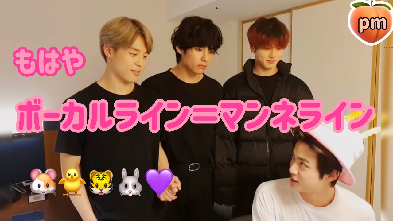 【防弾少年団/BTS】マンネすぎる(?)ボーカルラインモーメント🐹🐥🐯🐰【日本語字幕】