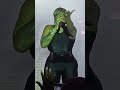 Fantasia Performs Change Your Mind Live In Atlanta (Official Video)