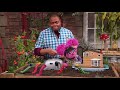 Sesame Street Episode 4719