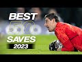 Best 50 Goalkeeper Saves 2023 | HD #28