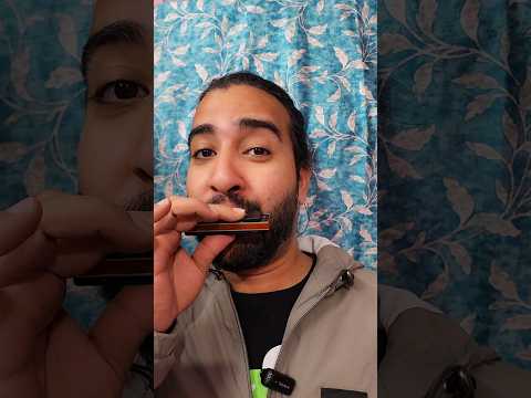 mouth organ Harmonica HA1100 Key C 10-Hole  #shorts #unbox #unboxingvideo #ytshort #mouthorgan