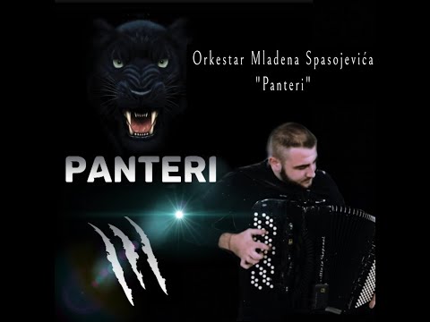 Orkestar Mladena Spasojevica & PANTERI