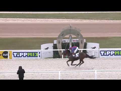 2022.11.27. Napi összefoglaló