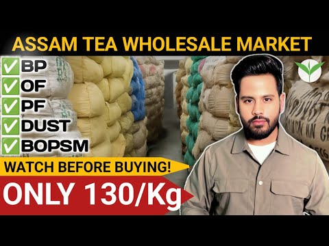 Assam Tea Wholesale Market | Biggest Tea Supplier | #assamtea #teabusiness #teawholesale