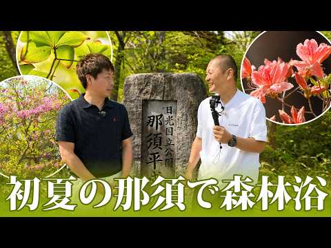 U字工事の旅！発見#346　初夏の那須で森林浴　～栃木県・那須町～
